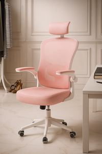 AeroMesh Pro (Ergonomische Bureaustoel)