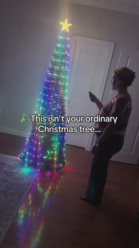 kerstboom AD ENGELS.mp4